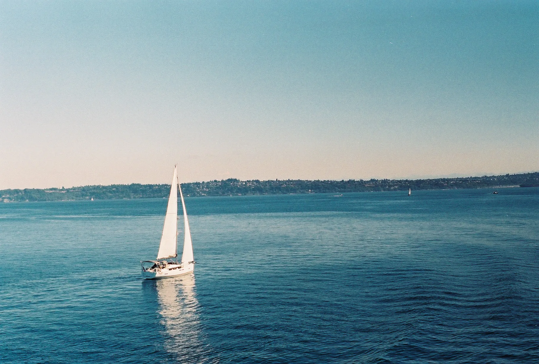 a white sailboat on calm blue water with a distant shoreline under a clear sky